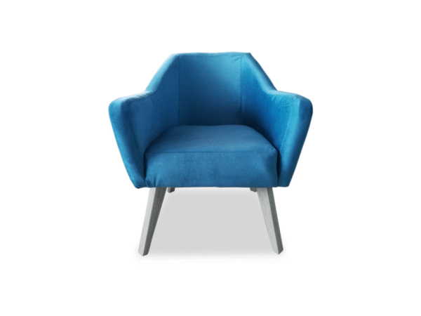 Poltrona Elsenior - Imagen 2